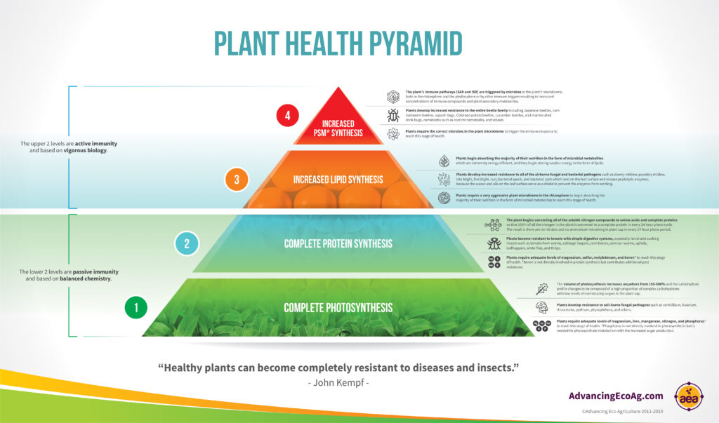Plant Health Pyramid Complete Infographic