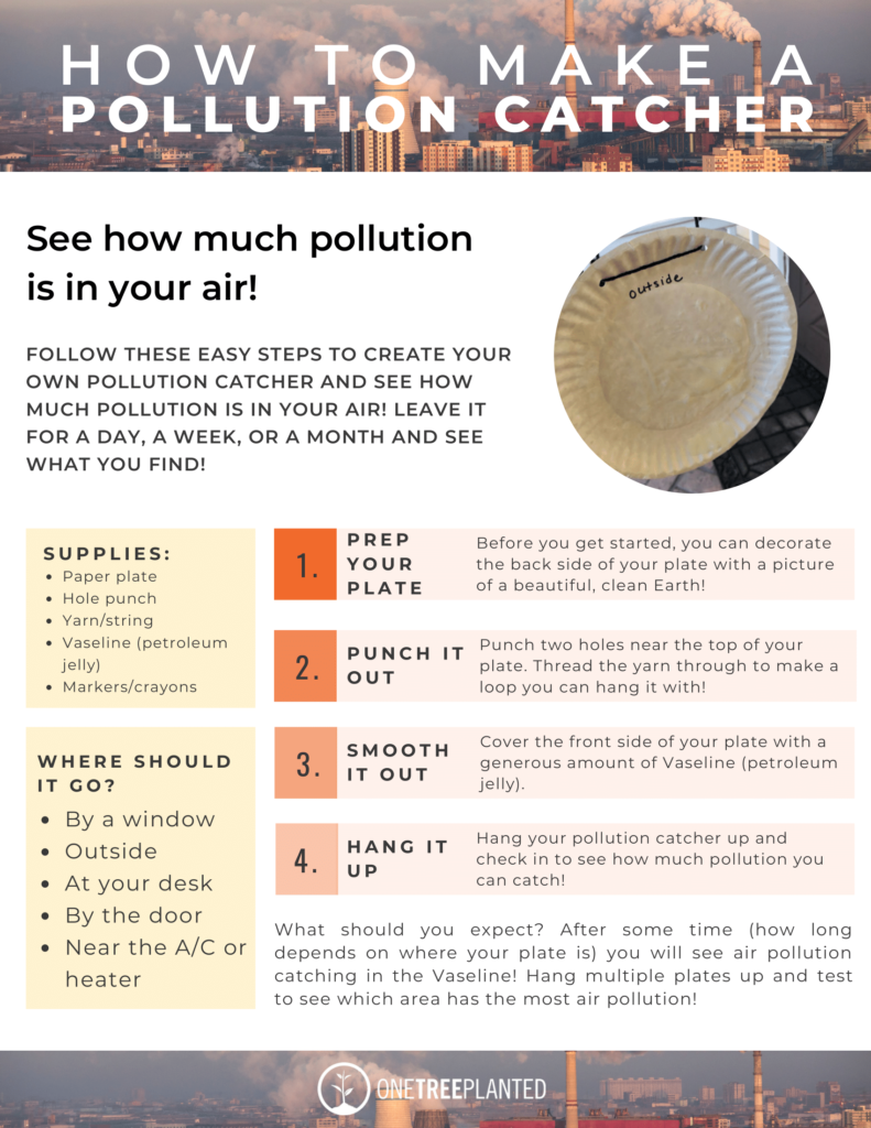 How to Make a Pollution Catcher 1