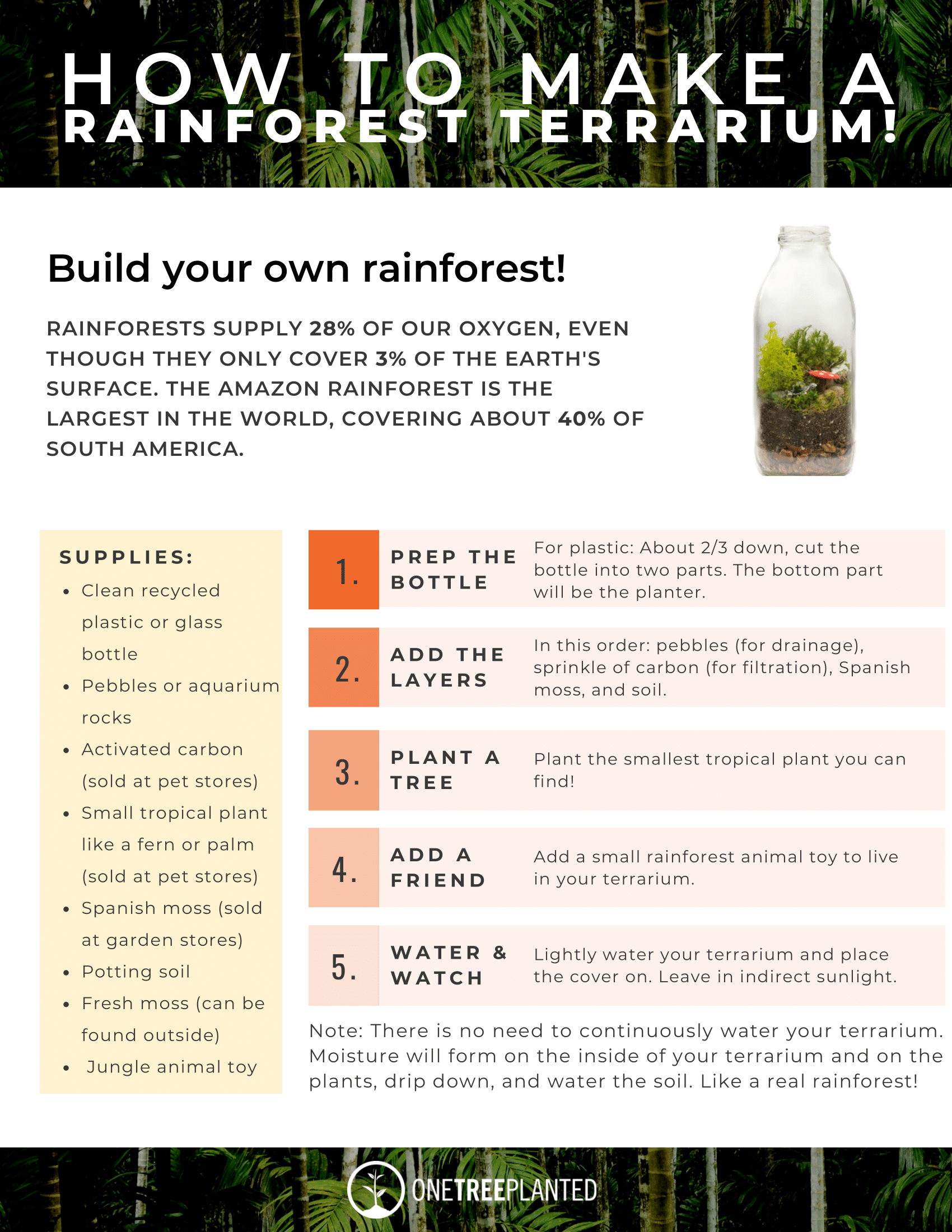 How to Make a Rainforest Terrarium 1
