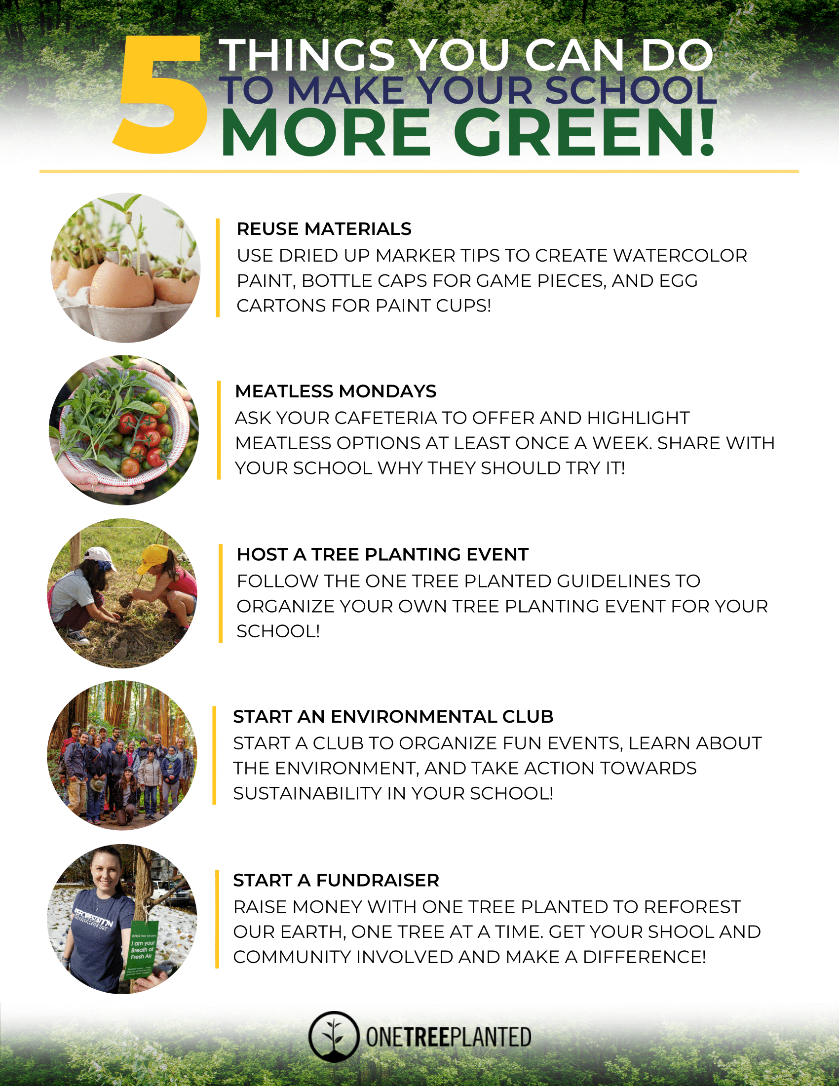 5 Things to Make Your School More Green 1