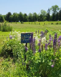 How To Make Reusable Bags!