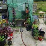 Micro Greenhouse on the farm